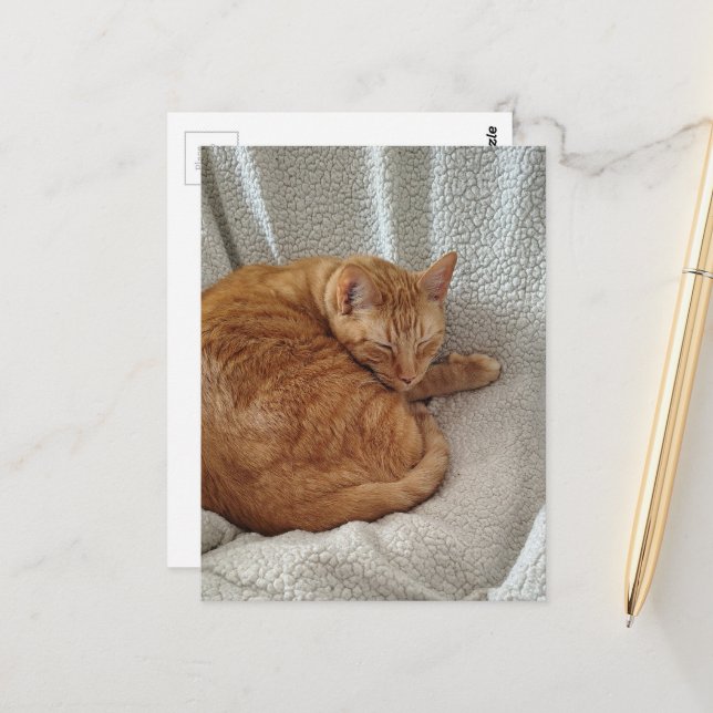 Sleepy Ginger Kitty Postcard (Front/Back In Situ)