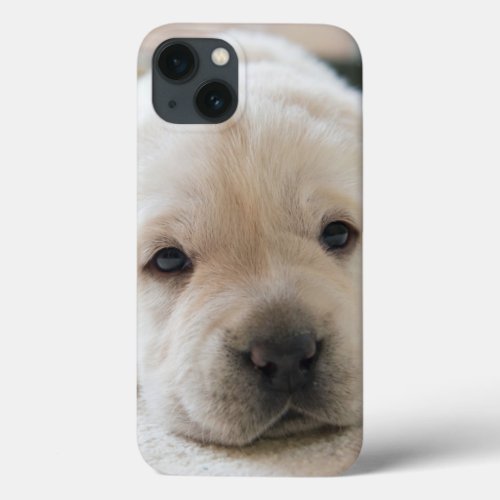 Sleepy Golden Labrador Puppy iPhone 13 Case