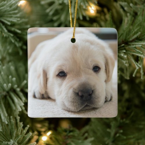 Sleepy Golden Labrador Puppy Ceramic Ornament