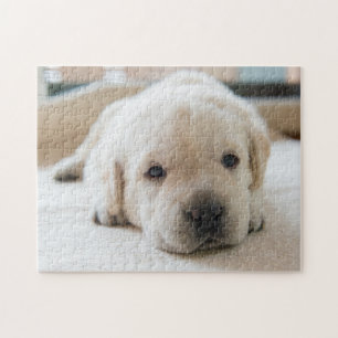 Sleepy Golden Labrador Puppy Jigsaw Puzzle