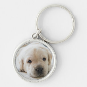 Sleepy Golden Labrador Puppy Keychain