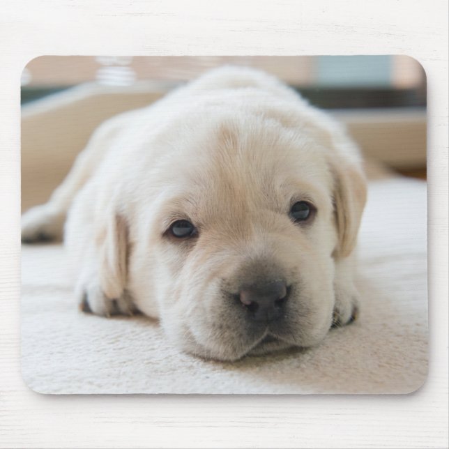 Sleepy Golden Labrador Puppy Mouse Pad (Front)