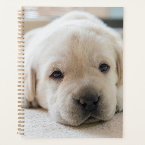 Sleepy Golden Labrador Puppy Planner