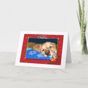Sleepy Golden Retriever Holiday Greeting Card by dbrown0310 at Zazzle