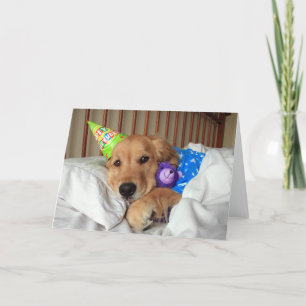 Sleepy Golden Retriever in Pajamas Birthday Card