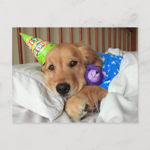 Sleepy Golden Retriever in Pajamas Birthday Postcard
