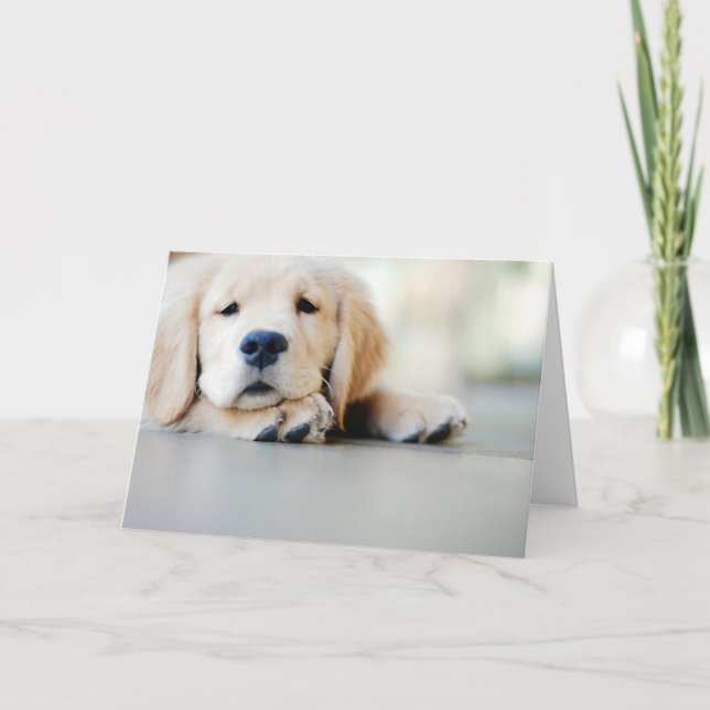 Sleepy Golden Retriever Puppy Card (Front)