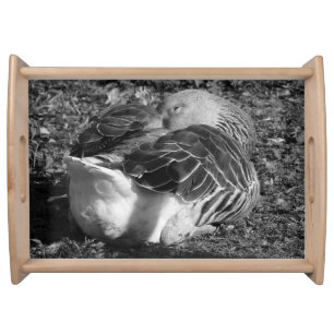 Sleepy Graylag Goose (Black and White) Serving Tray