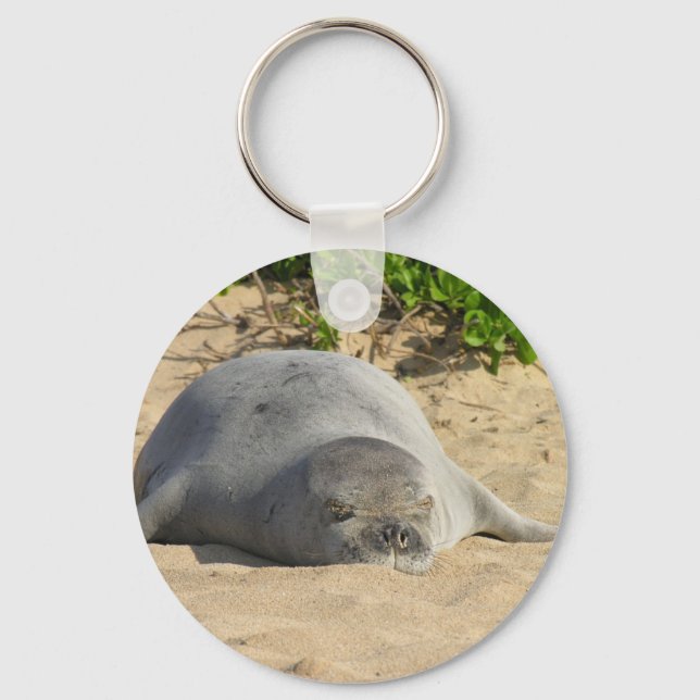 Sleepy Hawaiian Monk Seal Keychain (Front)