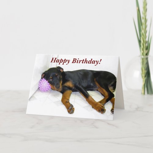 Sleepy Heidi and Ball Birthday Card