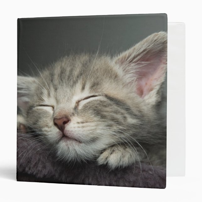 Sleepy Kitten Binder (Front/Inside)