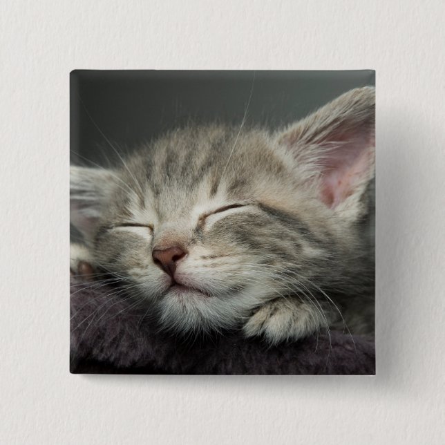 Sleepy Kitten Button (Front)