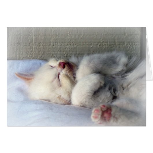 Sleepy Kitten Cards (Front Horizontal)