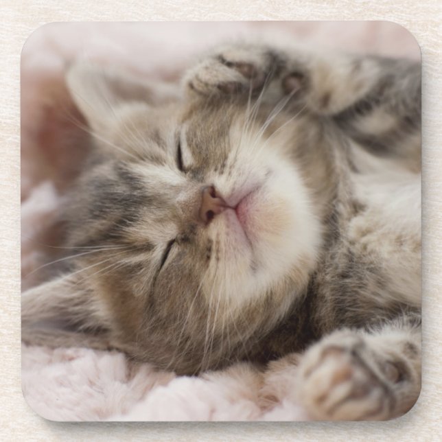 Sleepy Kitten Coaster (Front)