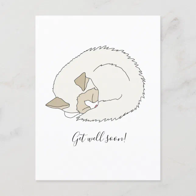 Sleepy Kitten Get Well Soon Postcard 