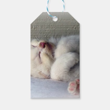 Sleepy Kitten Gift Tags
