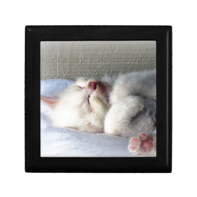 Sleepy Kitten Jewelry Box (Front)
