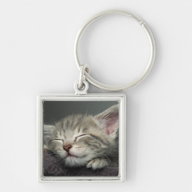 Sleepy Kitten Keychain (Front)