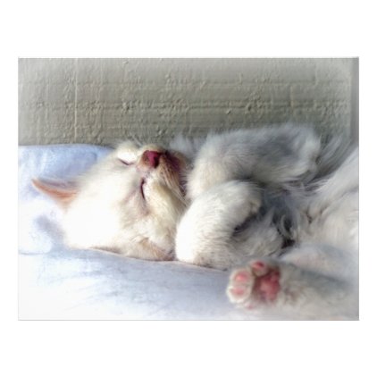 Sleepy Kitten Letterhead