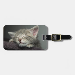 Sleepy Kitten Luggage Tag