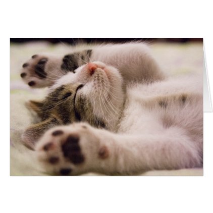 Sleepy Kitten | Paws Stretched Out Card