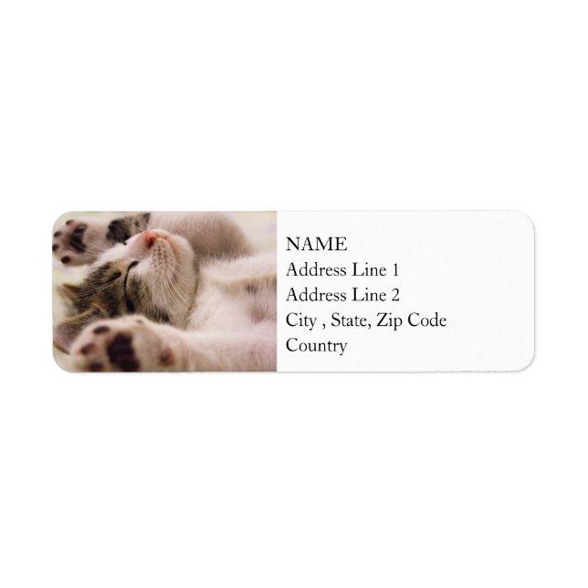 Sleepy Kitten | Paws Stretched Out Label (Front)