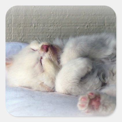 Sleepy Kitten Square Sticker