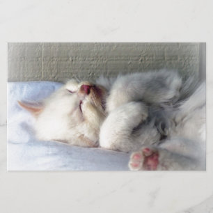 Sleepy Kitten Stationery