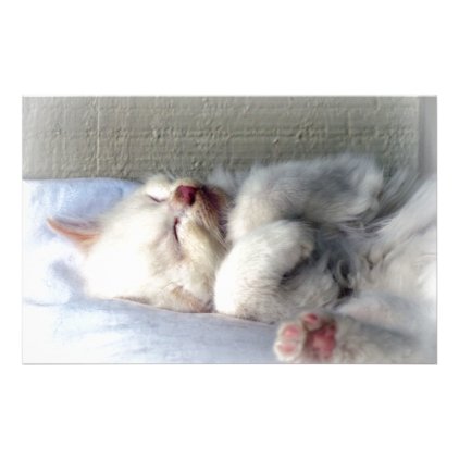 Sleepy Kitten Stationery