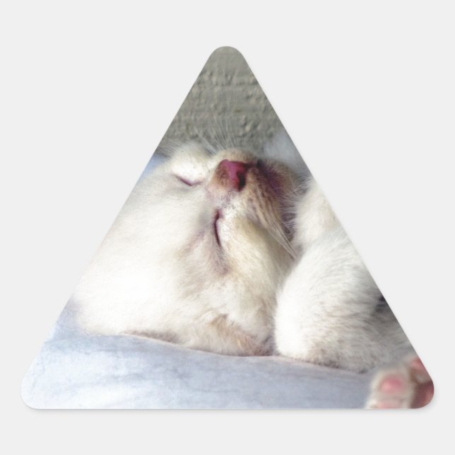 Sleepy Kitten Triangle Sticker (Front)