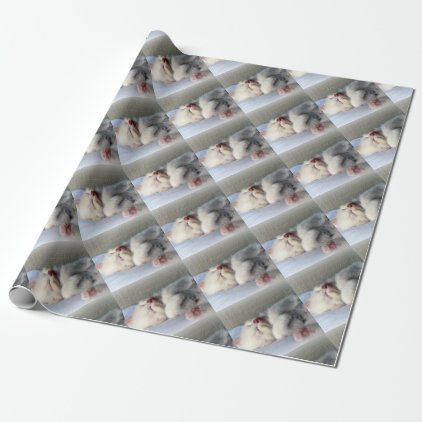 Sleepy Kitten Wrapping Paper