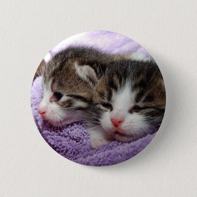 Sleepy kittens button (Front)