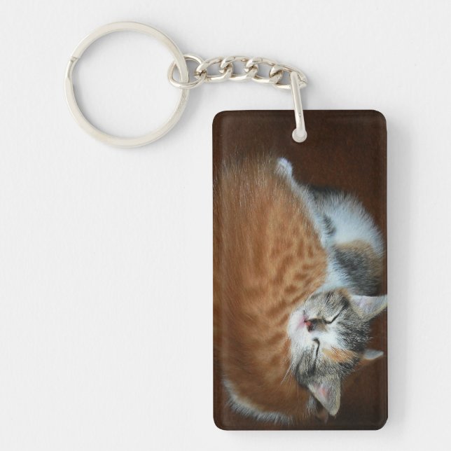 Sleepy kittens keychain (Front)
