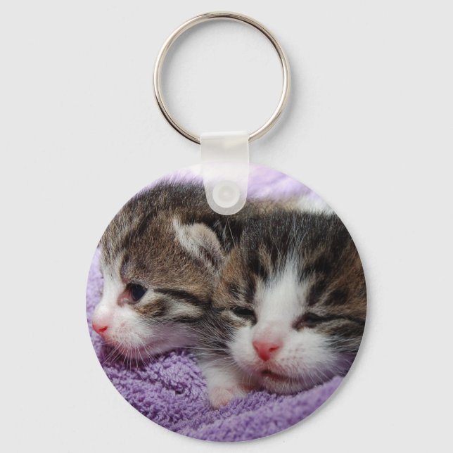 Sleepy kittens keychain (Front)