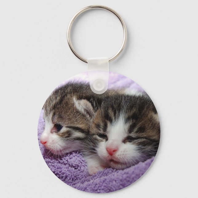 Sleepy kittens keychain (Front)