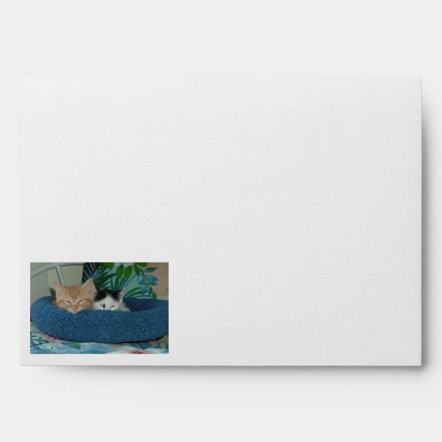 Sleepy Kitties/Orange Tabby Cat Envelope (Front)