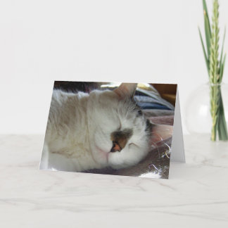 Sleepy kitty Birthday Card