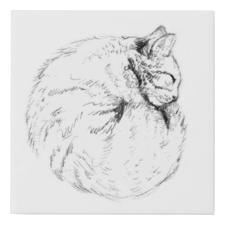 Sleepy Kitty Bun Faux Canvas Print