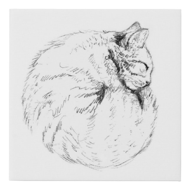 Sleepy Kitty Bun Faux Canvas Print (Front)