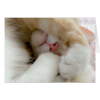 Sleepy Kitty Cards