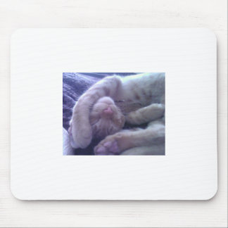 Sleepy Kitty Mouse Pad