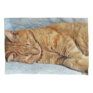 Sleepy Kitty Pillowcase