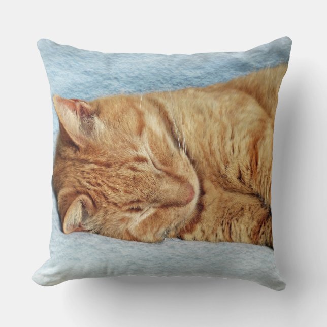 Sleepy Kitty Throw Pillow (Front)