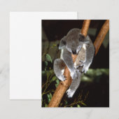 Sleepy Koala (Front/Back)