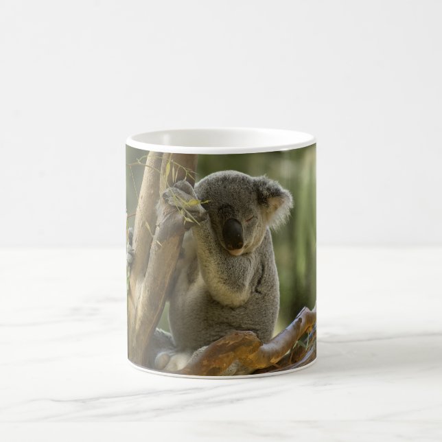 Sleepy Koala Bear Coffee Mug (Center)