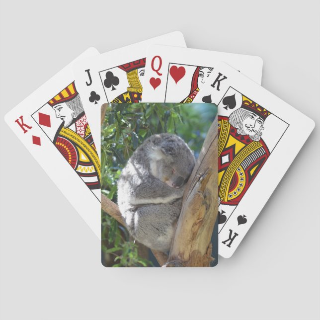 Sleepy Koala in Tree Poker Cards (Back)
