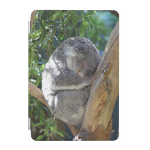 Sleepy Koala iPad Mini Cover
