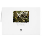 Sleepy Koalas Cards (Back Horizontal)
