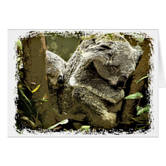 Sleepy Koalas Cards