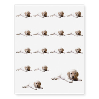 Sleepy Lab Temporary Tattoos